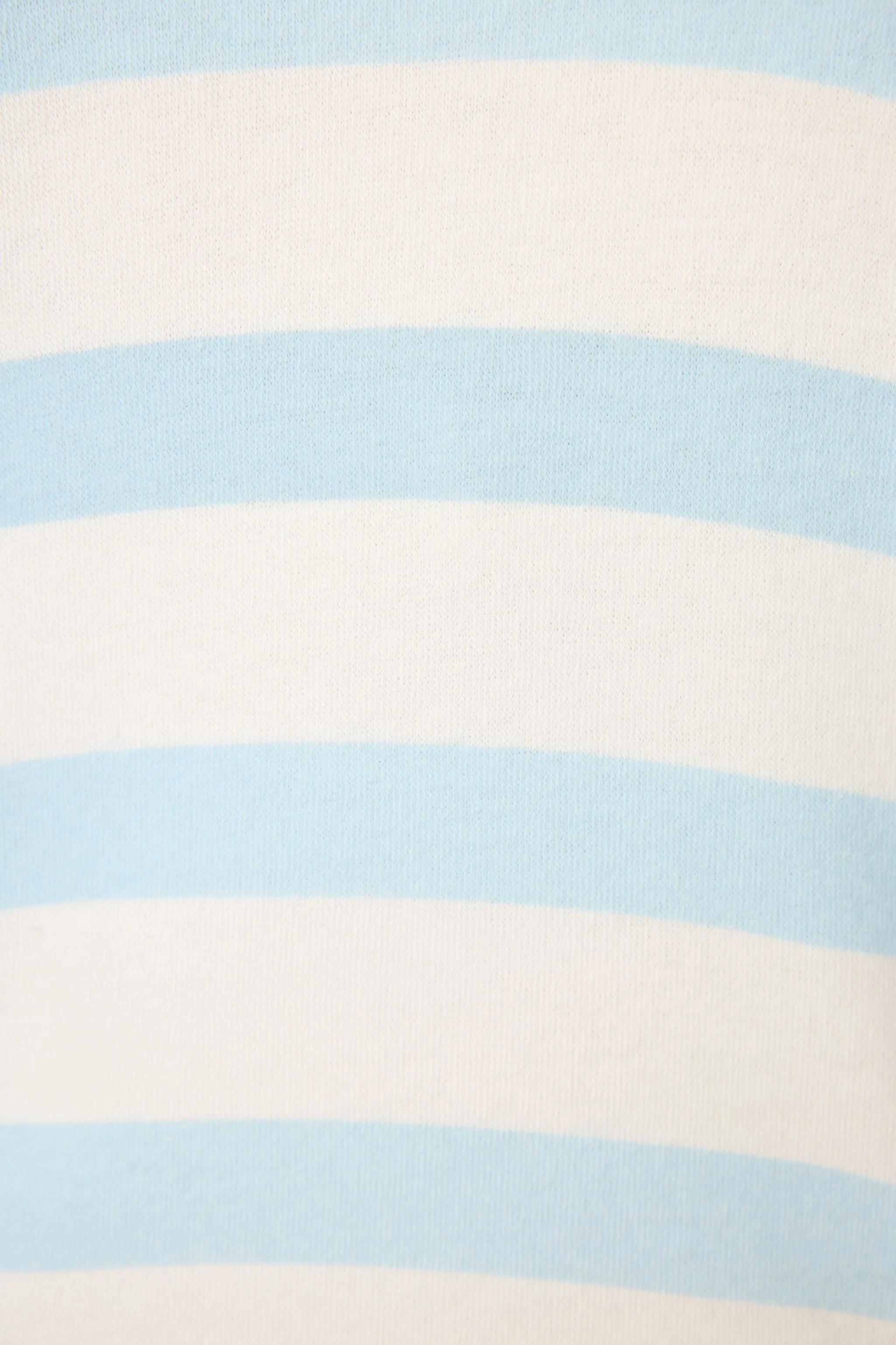 Pupcation Palms Ocean Stripe Shorts - Image 5